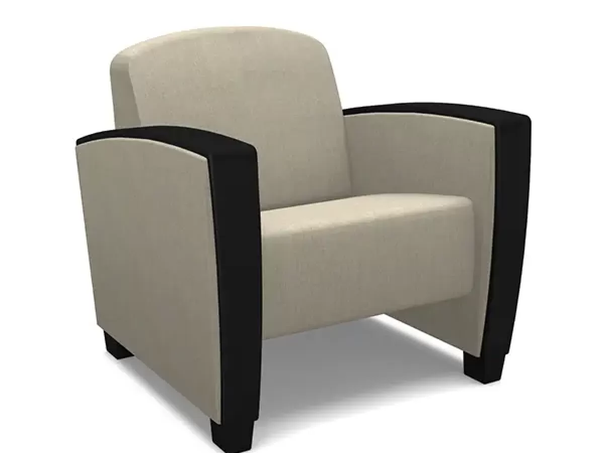 Modern Lounge Arm Chair - SWS Group