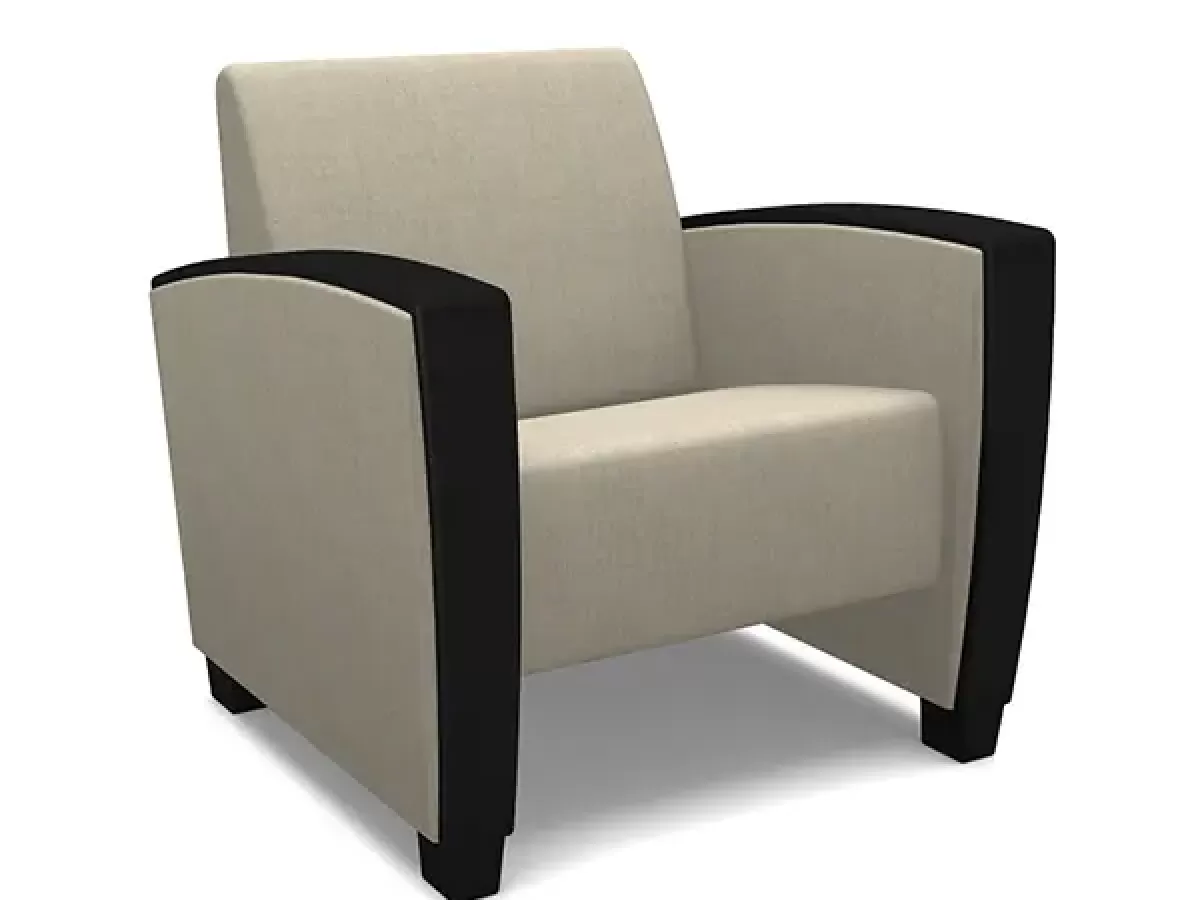 Modern Lounge Arm Chair - SWS Group